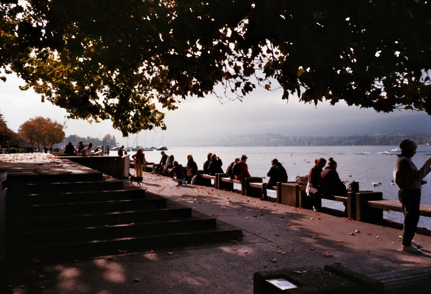 Fotografie 16